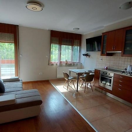 Sunny Loft Kecskemet Lejlighed Eksteriør billede